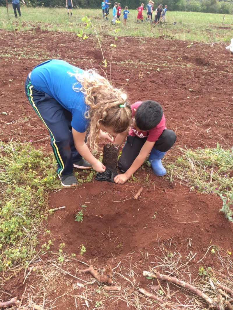 Educação no Campo: Escola Bem Viver Caúna realiza implantação de um pomar na escola